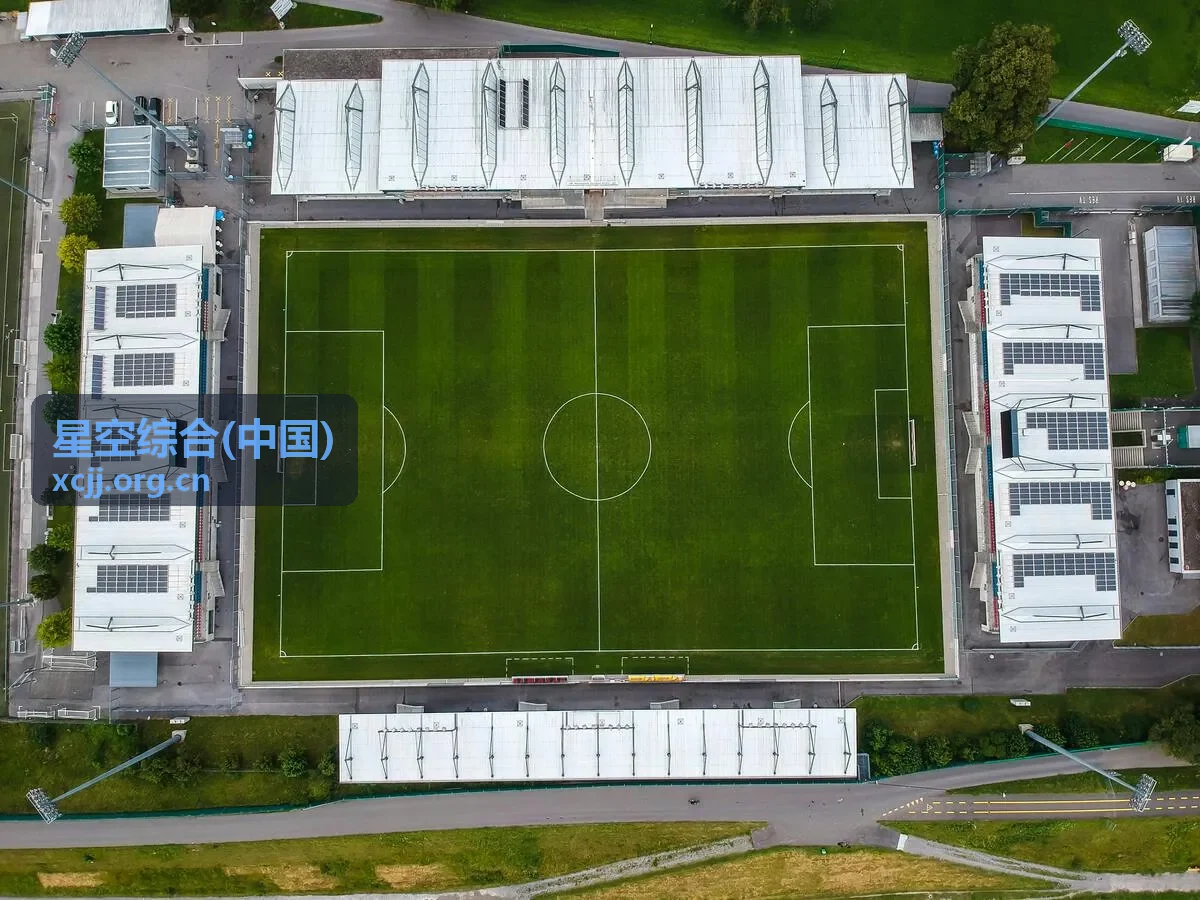 星空综合(中国)面向不同行业的服务方案适配